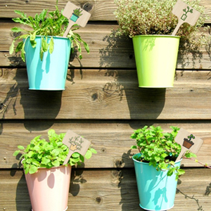 garden plant markers