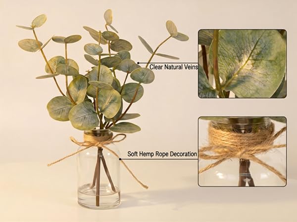 Double-Sided Green Eucalyptus