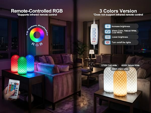 LED Lamp Kit 001