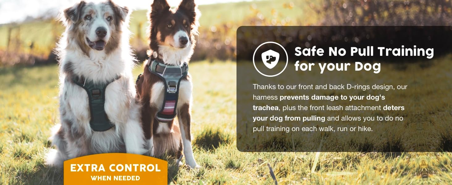 comfortable grip control handle to enjoy extra control when you need it