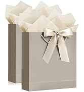 YoungTree Gift Bags with Handles, 13" Medium Gift Bag with 4 Tissue Paper and 2 Card, 2 Pcs Prese...