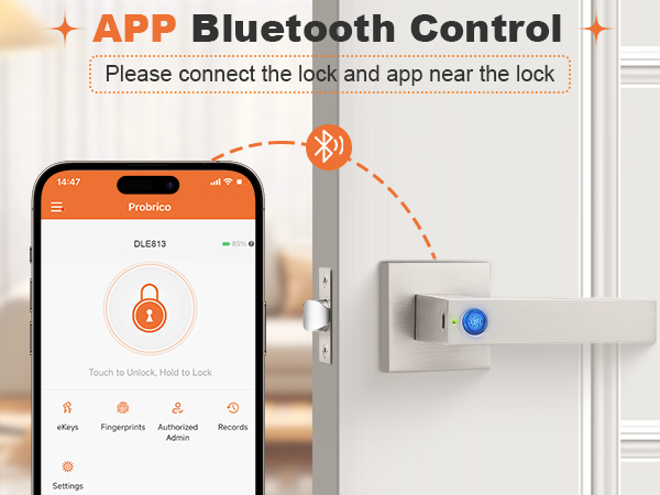 nickel smart door handle
