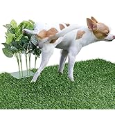 Artificial Mosaic Plants Pee Post for Dogs Potty Training, Adjustable Height Pee Training Aid for...