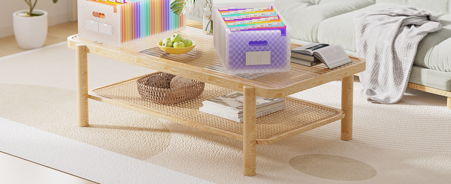 file organizer