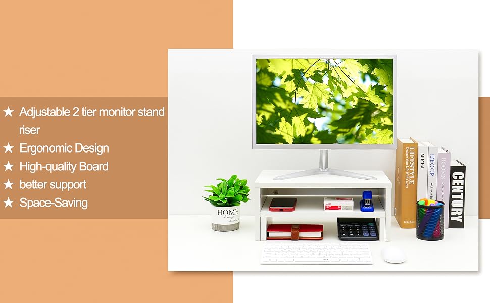 adjustable stand