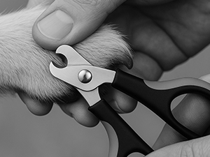 Dog Nail Grinder