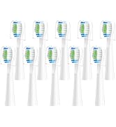 Replacement Toothbrush Heads 10 Pack Compatible with Bitvae Daily D2 Rechargeable Toothbrush, D2 ...