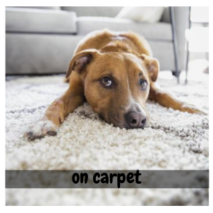 Spotty Supersize Lint Roller