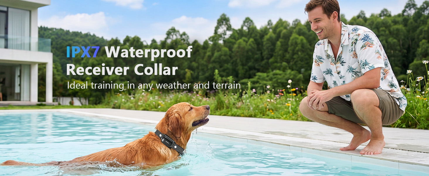 Dog Training Collar
