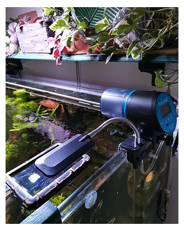 fish feeder vacation
