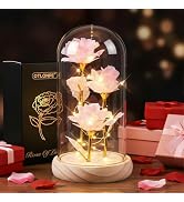 Otlonpe Mothers Day Flowers Gifts for Mom from Daughter Son, Preserved Forever Glass Light Up Ros...