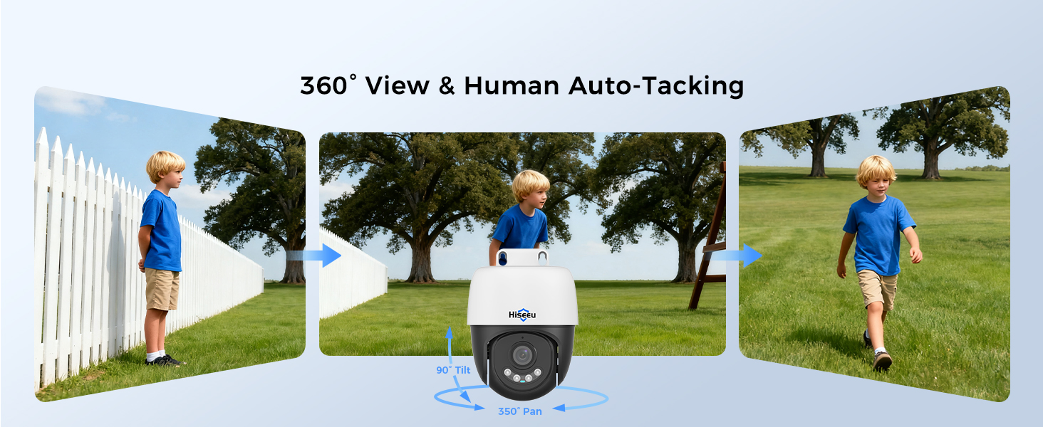 360 view
