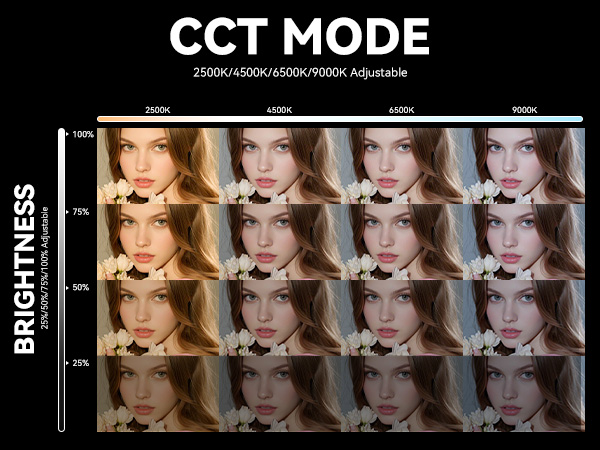 CCT Mode & Brightness Level