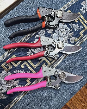 Professional Garden Scissors