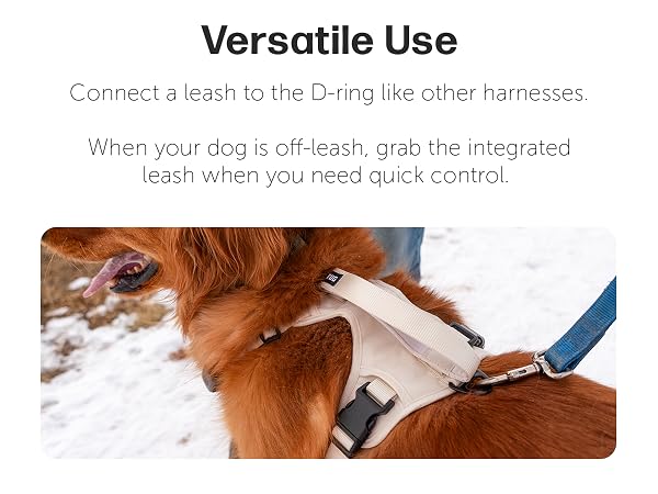 grab harness