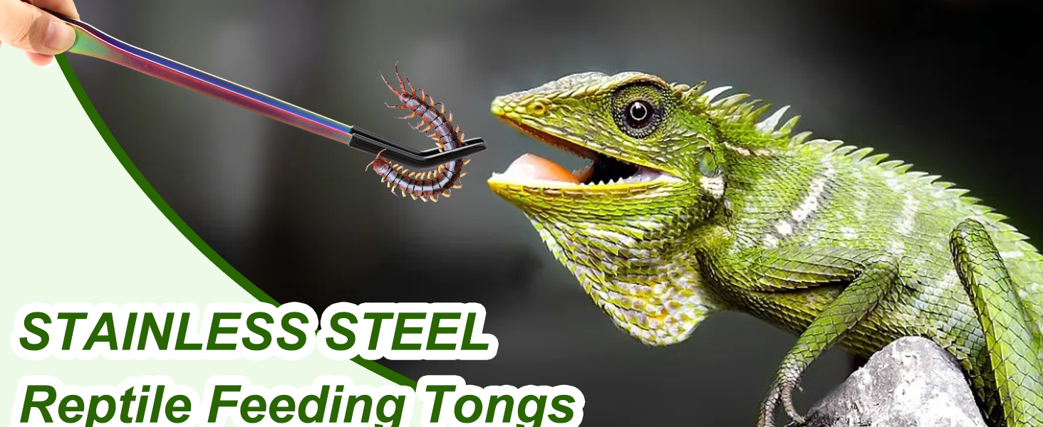 Stainless Steel Reptile Feeding Tongs