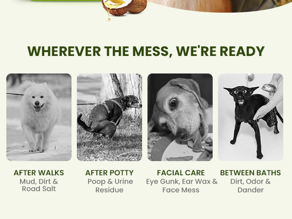 dog eye wipes