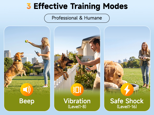 trainning collar