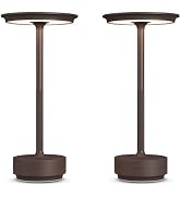 FDIDC 2 Pack Rechargeable Cordless Table Lamps, 5000mAh Portable LED Table Light, 3 Color Steples...