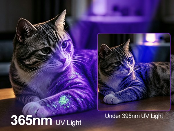 blacklight flashlight