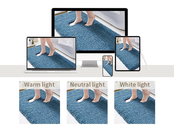 Bathroom Rugs Non Slip Washable Ultra Soft Absorbent Bath Mat Quick Dry Shaggy for Tub Blue Decor