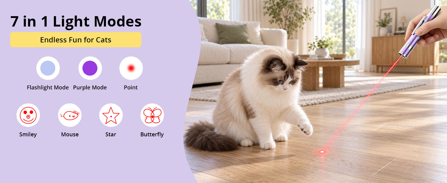 cat toy