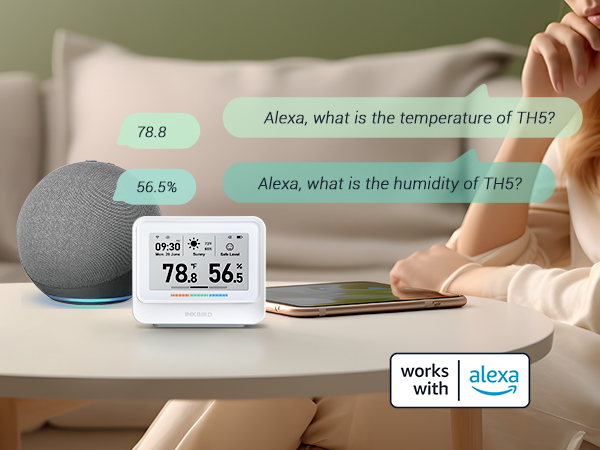 WiFi Thermometer