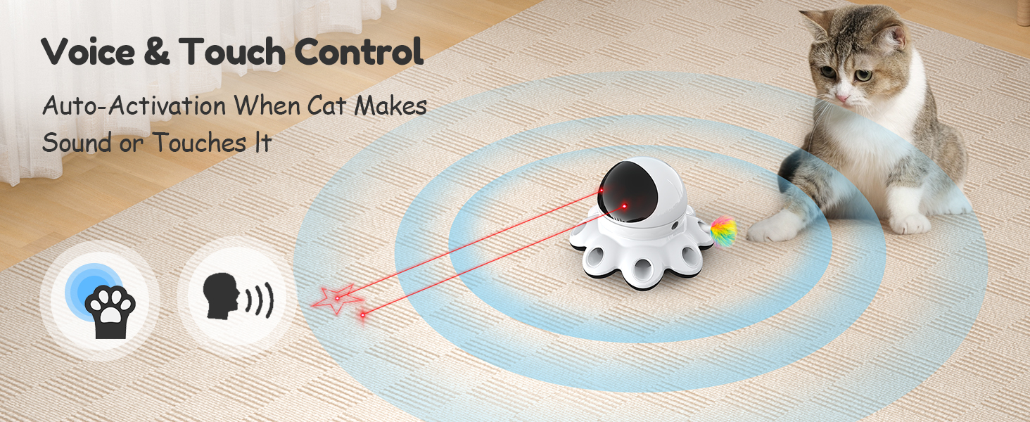 Indoor Cat Toys