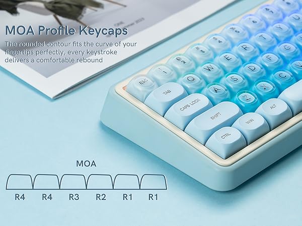 MOA profile keycaps. The rounded contour of these keycaps fits the curve of your fingertips