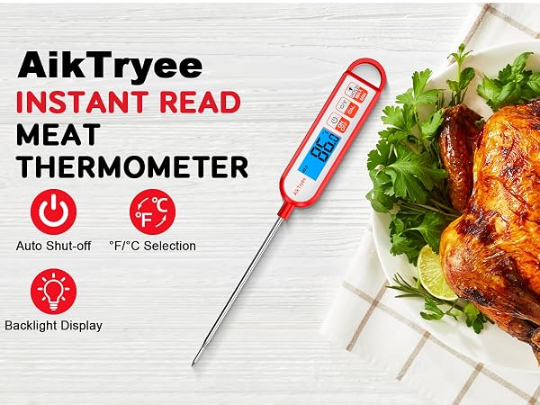 meat thermometer