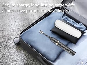travel companion