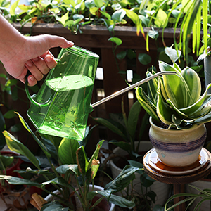 small watering can