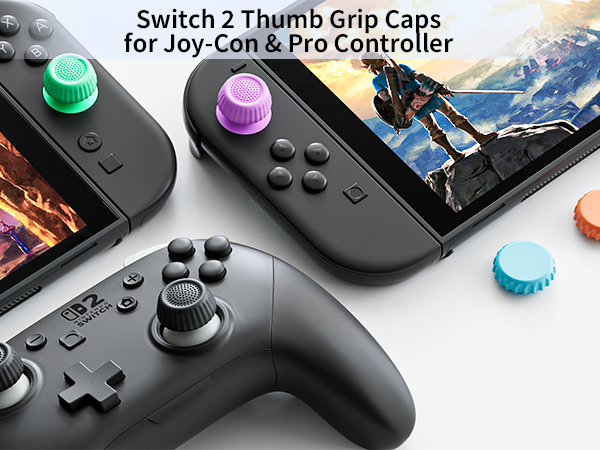 ? switch 2 accessories