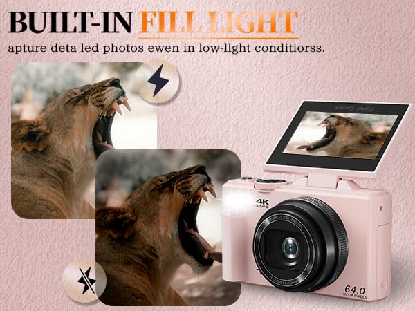 Digital Camera with Fill Light