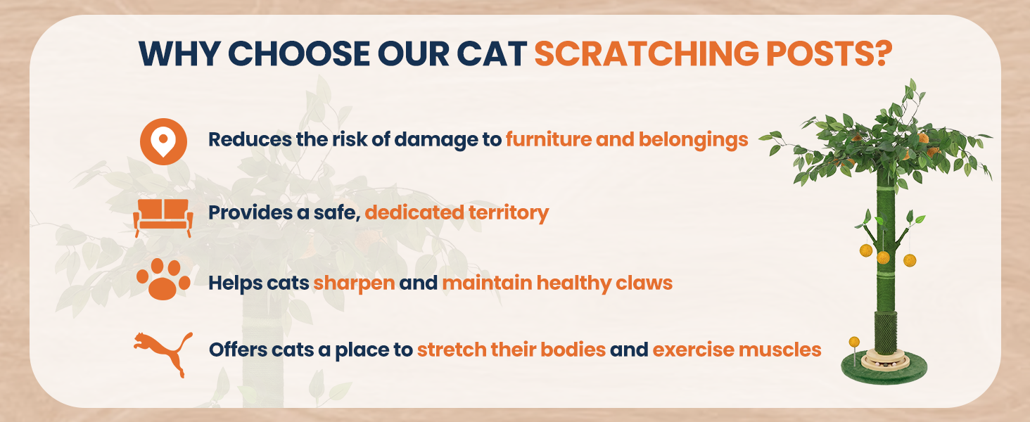 cat scratching post
