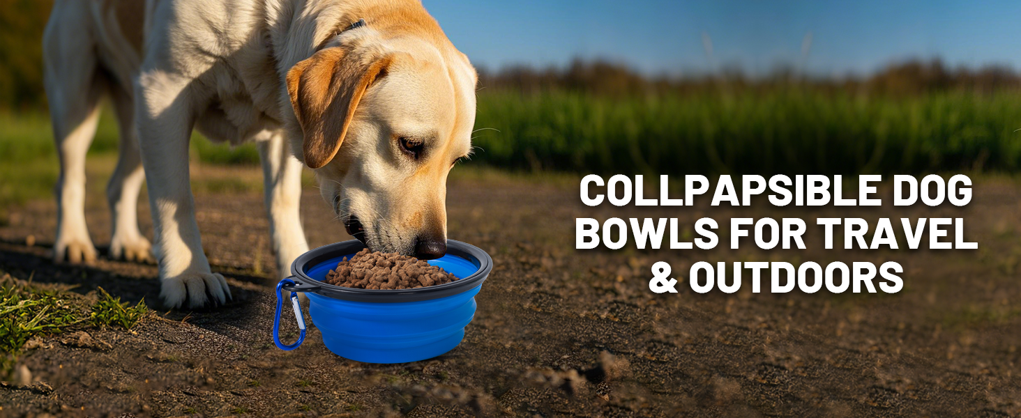 dog bowl travel