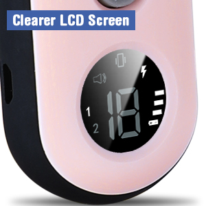 Large LED Display