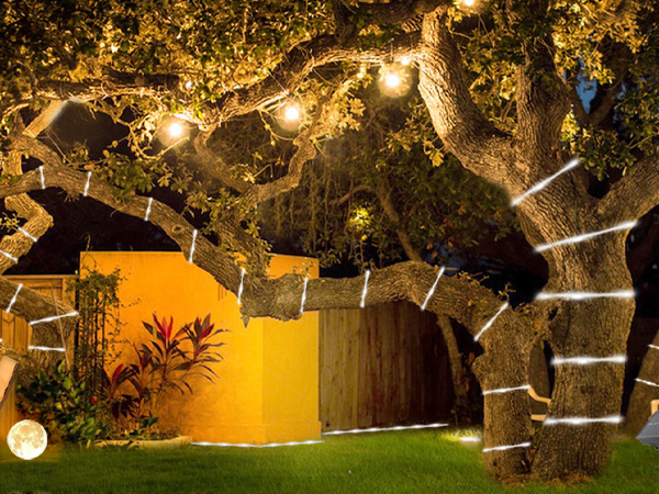 solar tree lights