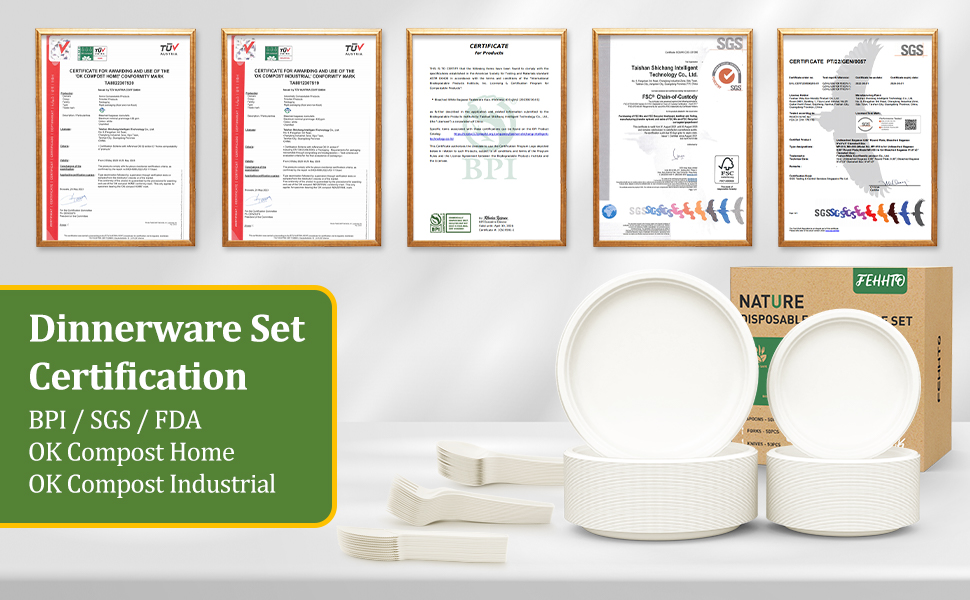 paper plate set natural material