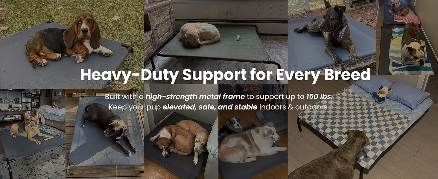 dog bed for large dogs