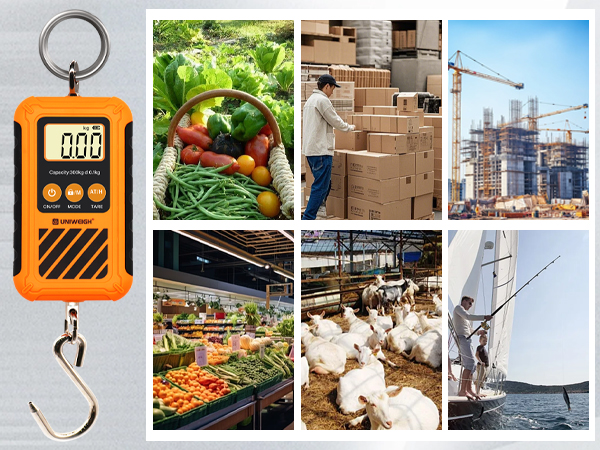 Digital Luggage Scale