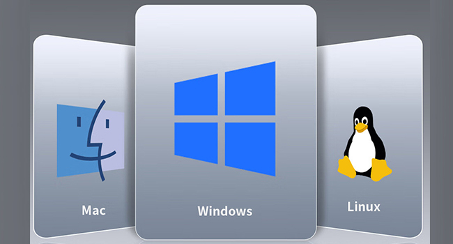 This M2 usb adapter offers broad compatibility