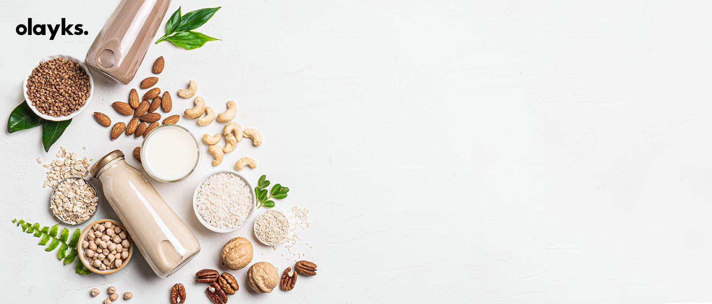 nut milk maker