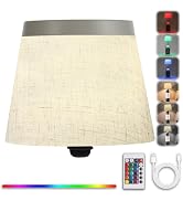 YTRUSTIX Wireless Bottle Lamp Shades, Wine Bottle Lamps with RGBW Touch Dimmable Bottle Lights, 4...