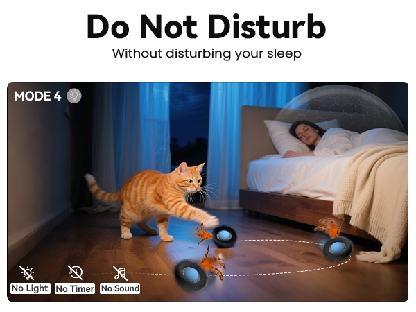 cat toy