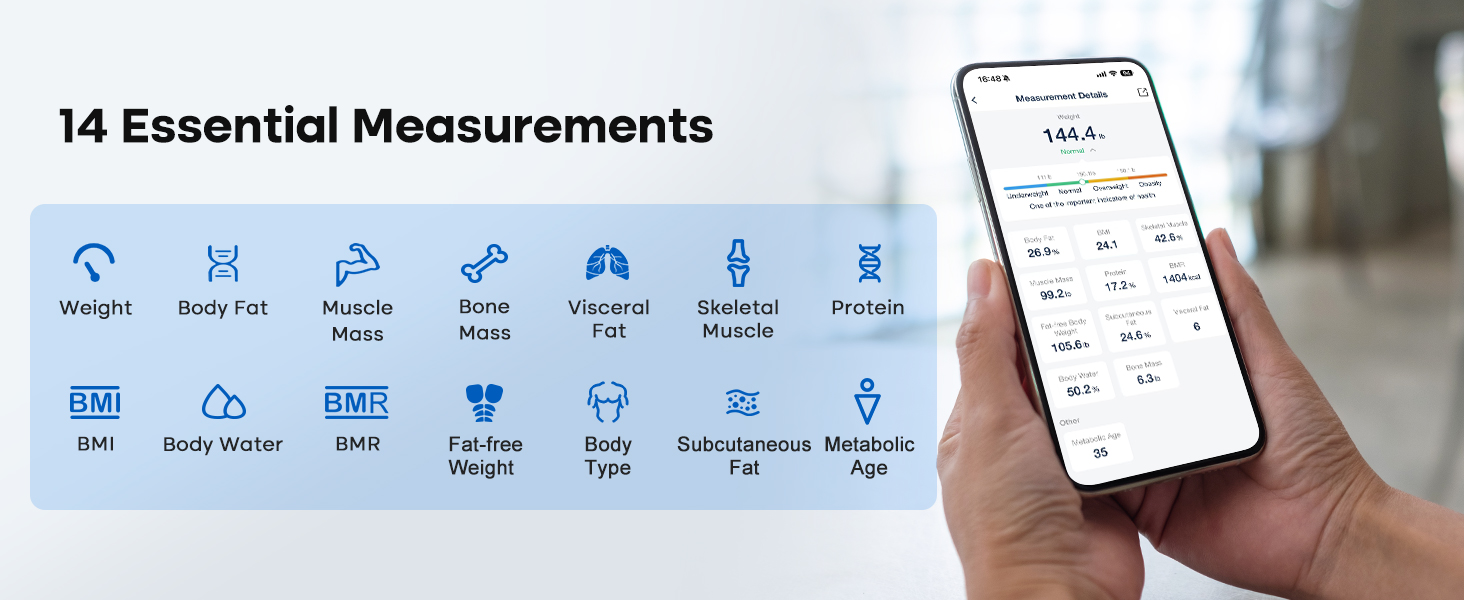 14 body measurements