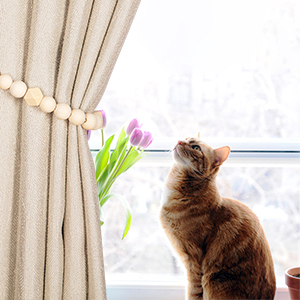 curtain hold backs
