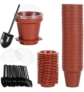 DOITOOL 20 Pack Flower Pot Dessert Cups with Lids Mini Plastic Bucket Cake Cups with Shovel and B...