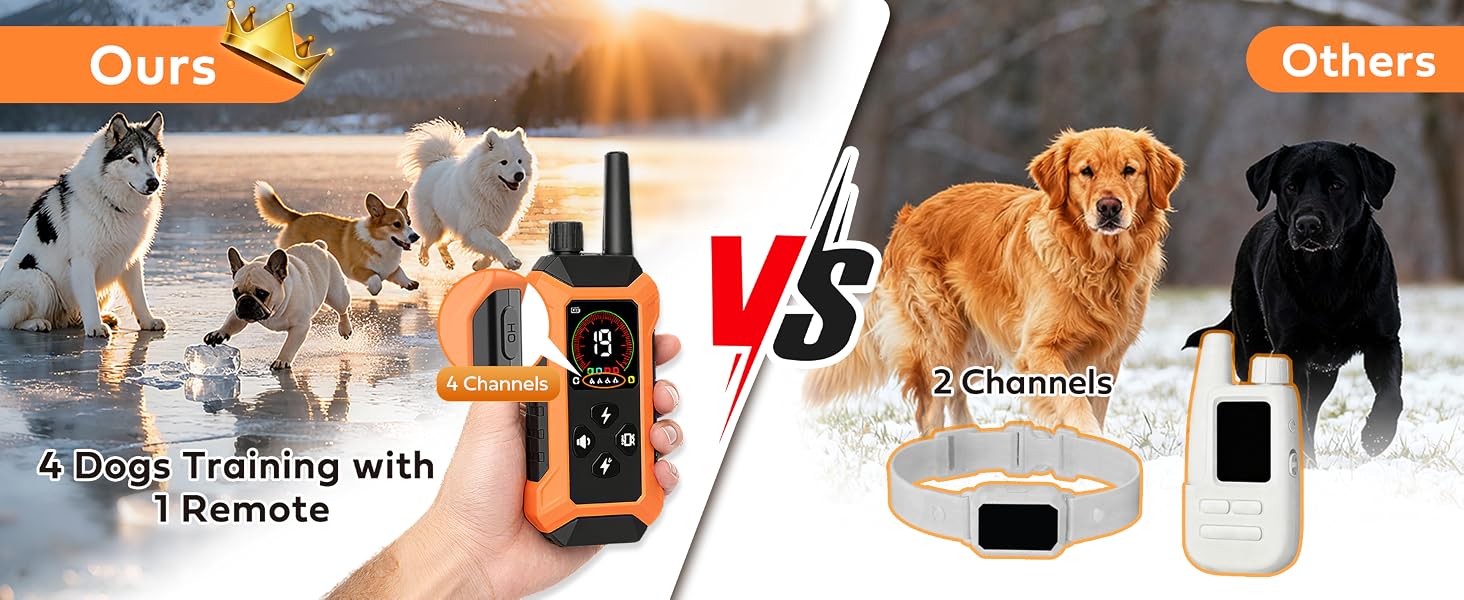barking dog collar with remote