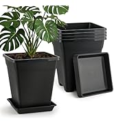 BTPLASTIK Plant Pots 10 Inch Set of 5, Large Square Plastic Planter with Drainage & Saucer, 5 Gal...